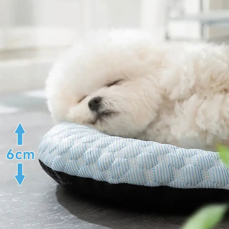 Fluffy white dog sleeping on a cushion.