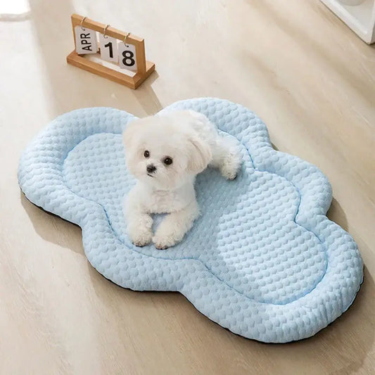 Fluffy white puppy lying on a cloud-shaped light blue pet bed.