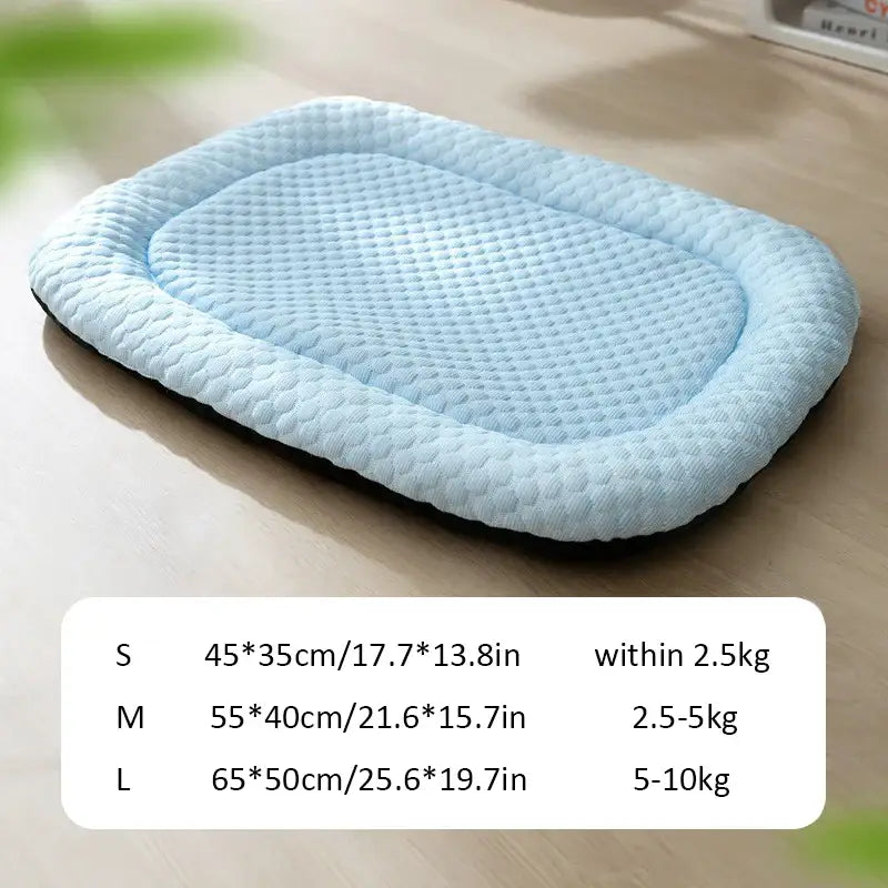 Soft, light blue padded pet bed with a raised border.