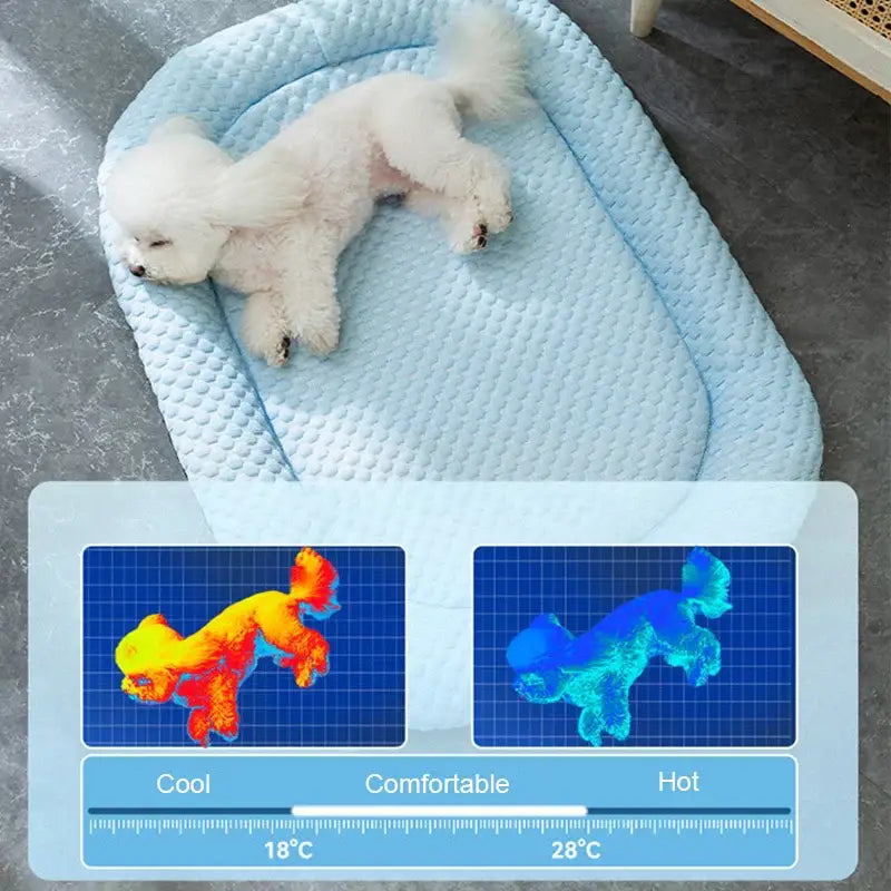 White fluffy dog sleeping on a light blue padded pet bed.