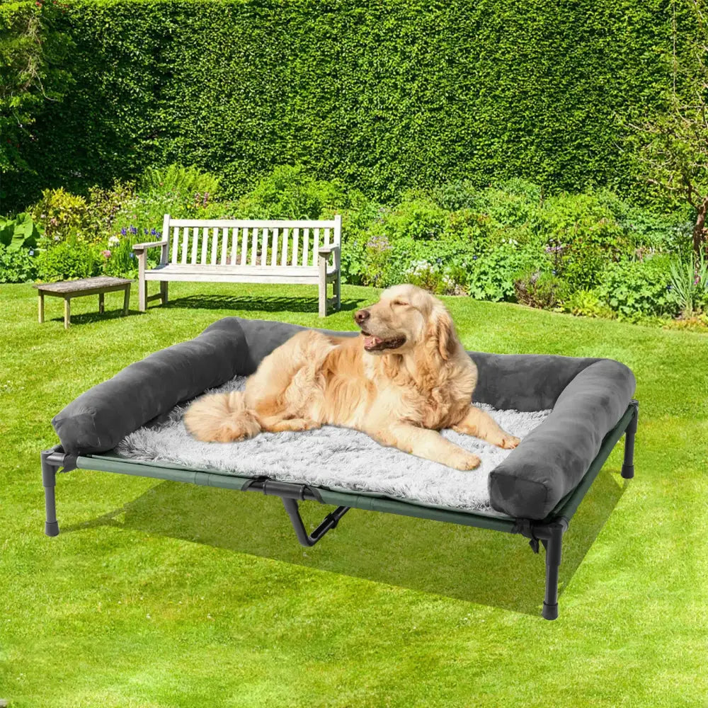 Golden retriever lying on a raised dog bed with padded sides.