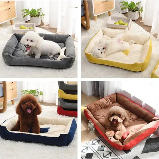 Colorful pet beds with dogs lounging in them.