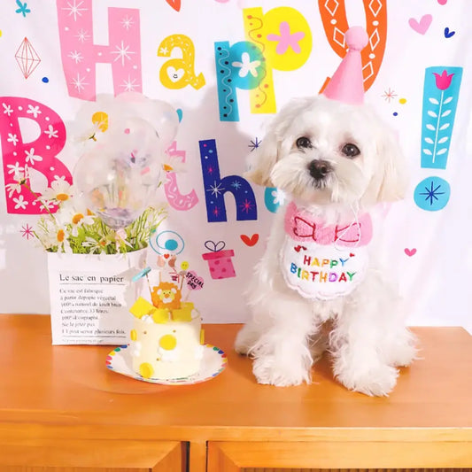 White fluffy dog wearing a pink bow and ’Happy Birthday’ sign, sitting next to a small birthday cake.