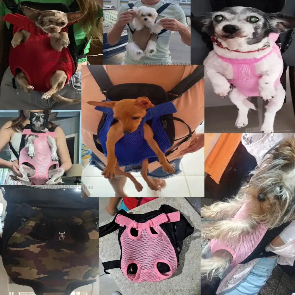 Collage of dogs wearing various colorful outfits and accessories.