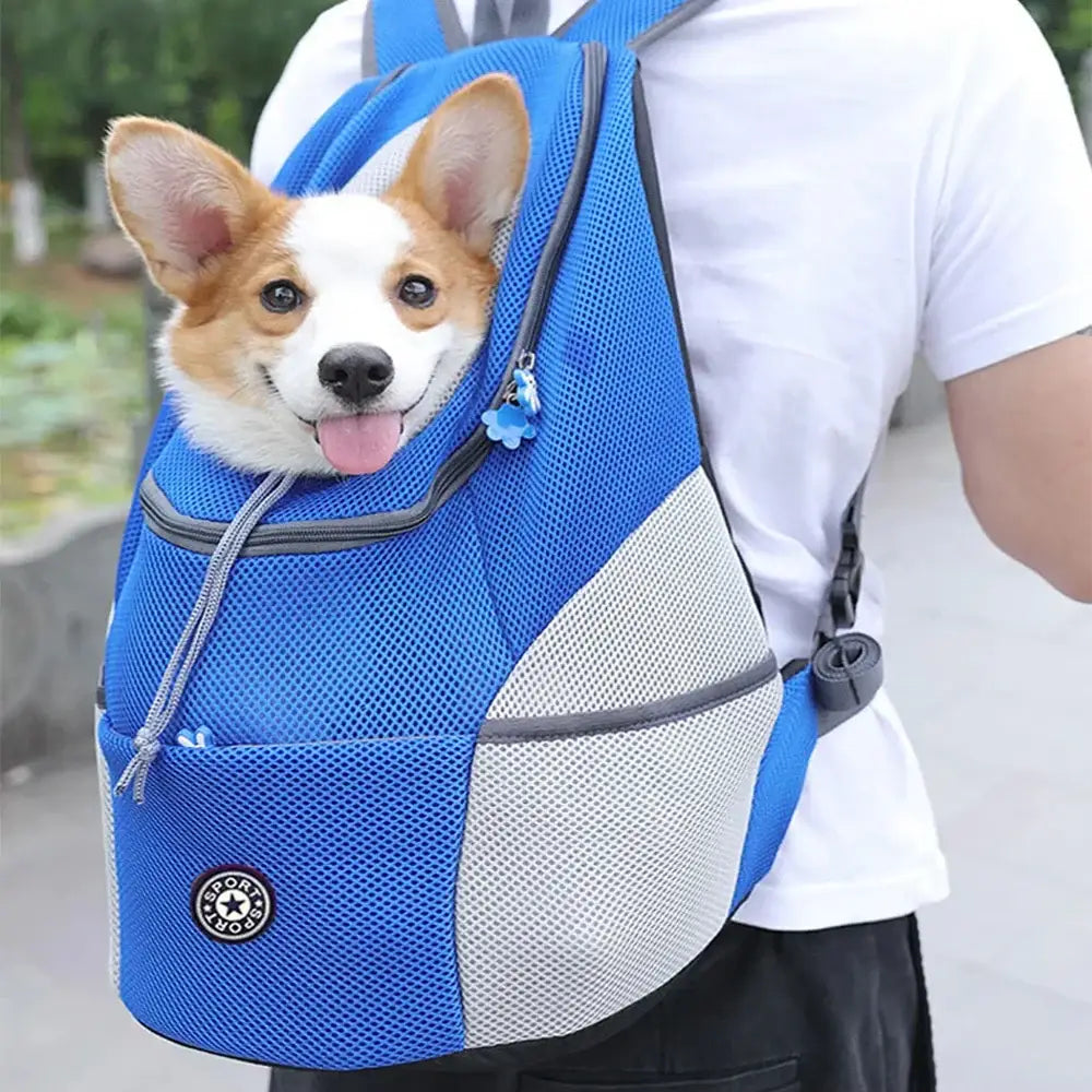 Smiling Corgi puppy peeking out of a blue and gray pet carrier backpack.