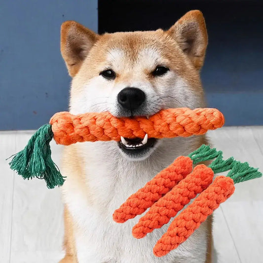 Shiba Inu dog holding an orange carrot-shaped toy in its mouth.