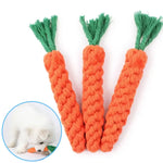 Dog Carrot Farm Toy - Vignette | DoggyElite