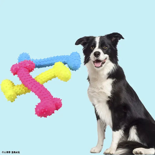 Border Collie sitting next to colorful bone-shaped dog toys.