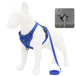 Dog Collar and Leash - Vignette | DoggyElite