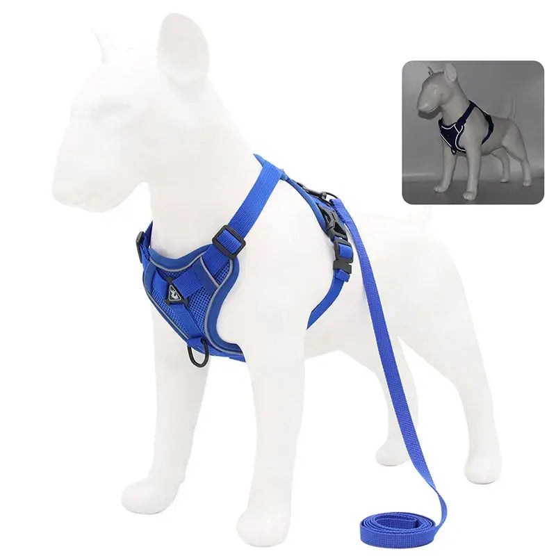 Blue dog harness with attached leash.