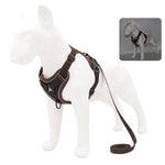 Dog Collar and Leash - Vignette | DoggyElite