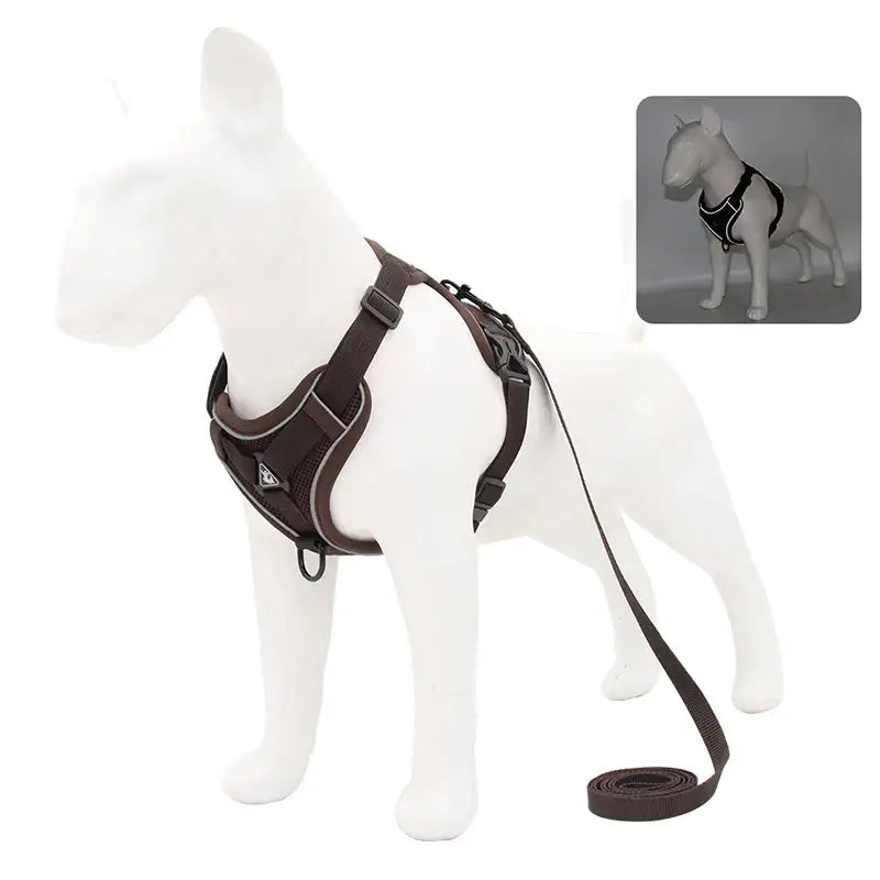 Dog harness with attached leash.