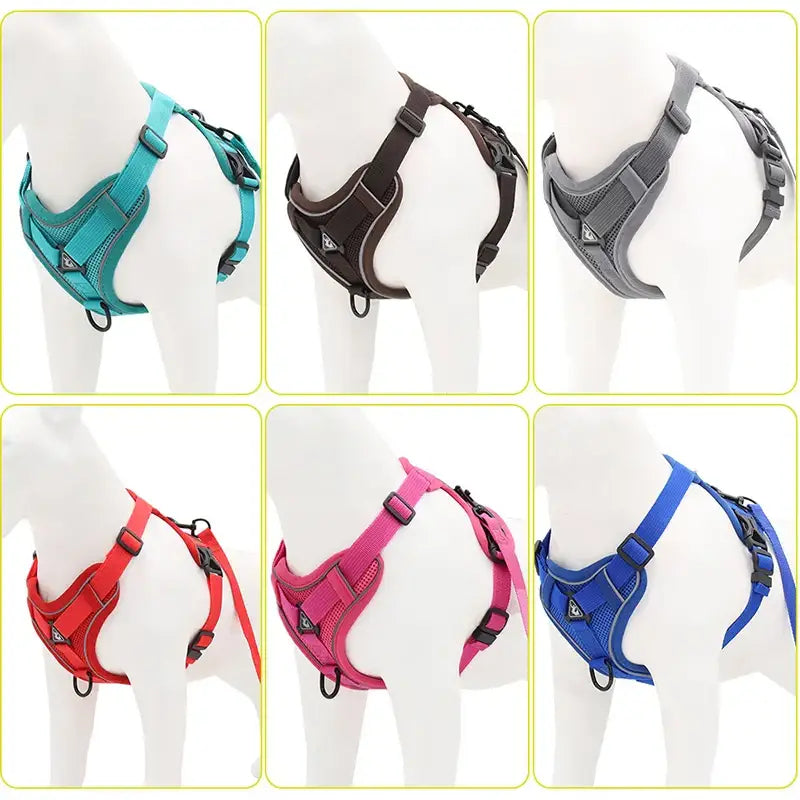 Dog harnesses in various colors including teal, black, gray, red, pink, and blue.