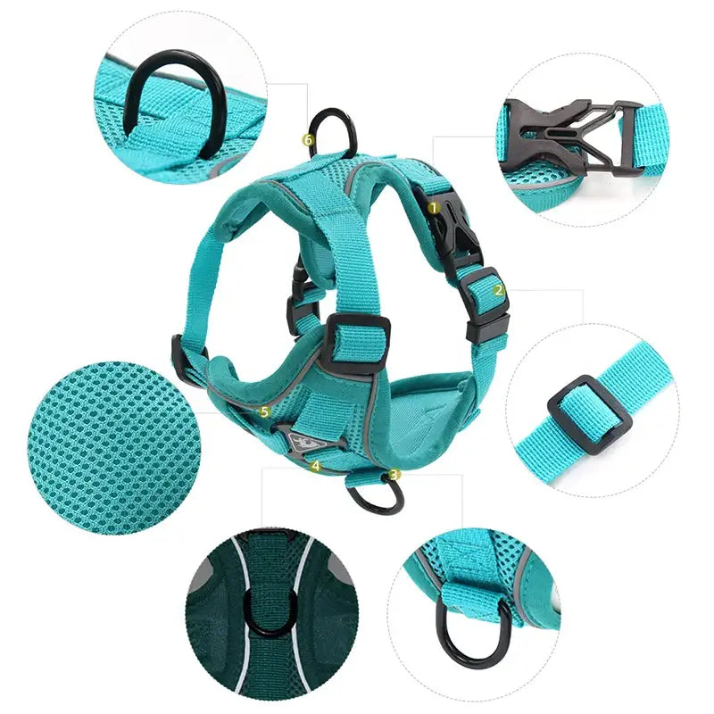 Teal-colored dog harness with adjustable straps and multiple attachment points.