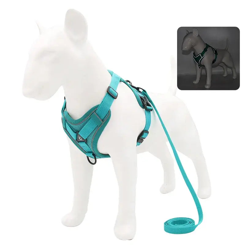 Teal dog harness with matching leash displayed on a white dog mannequin.