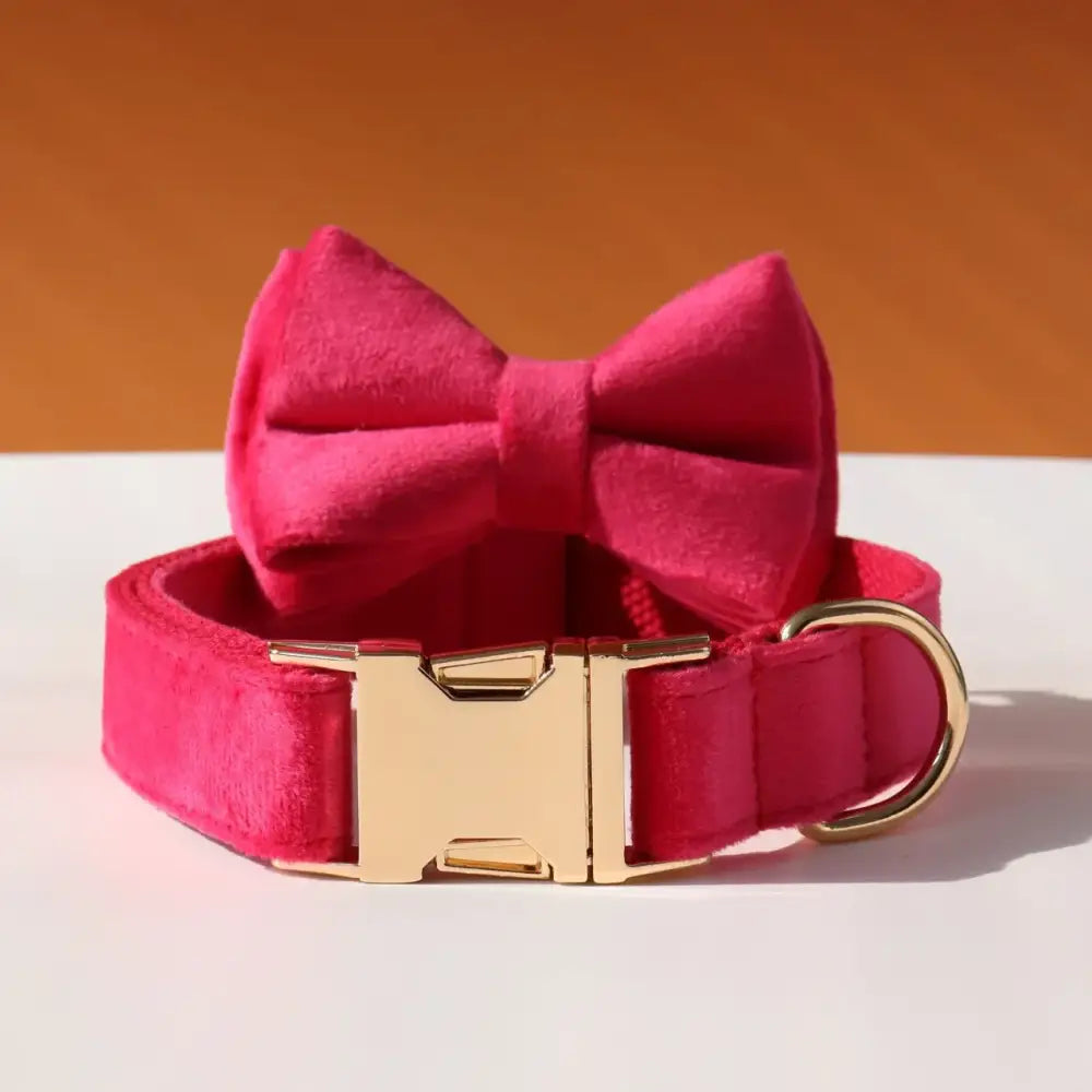 Bright pink dog collar with a matching bow tie attachment.