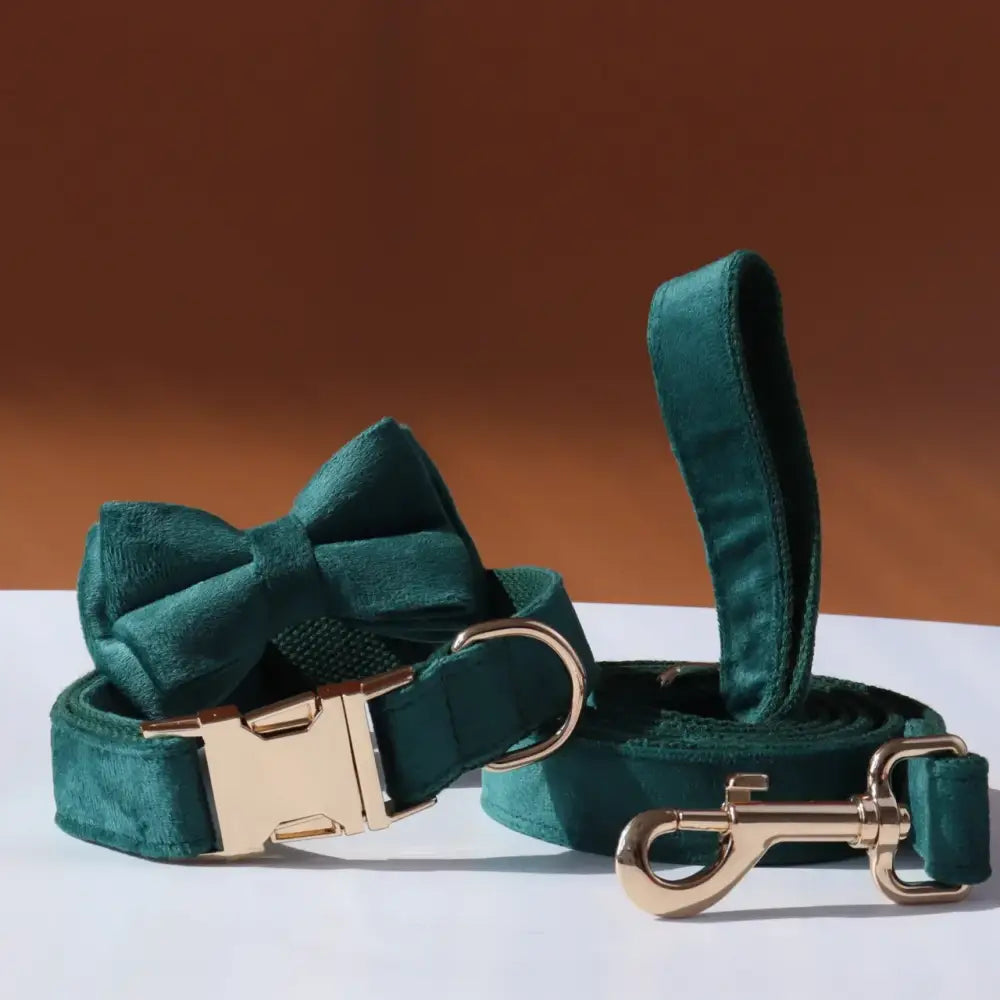 Emerald green velvet dog collar with matching bow tie and leash.