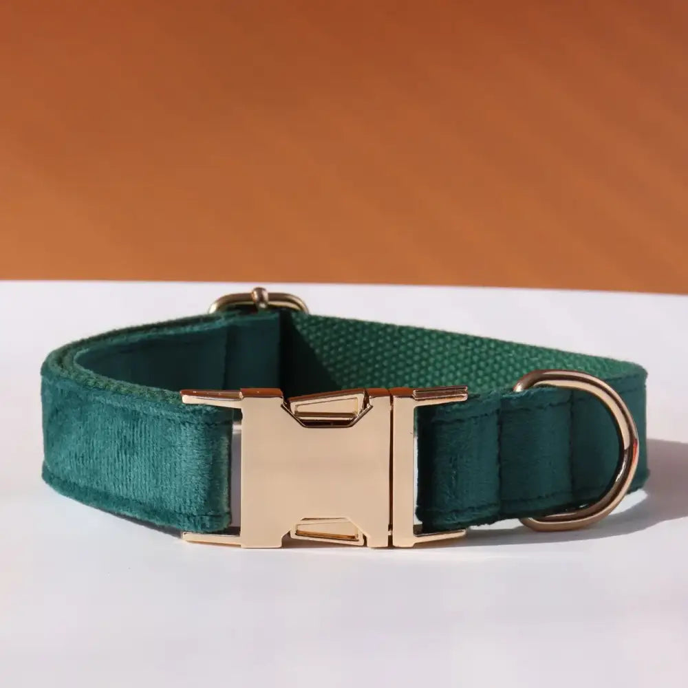 Green velvet dog collar with a gold metal buckle.