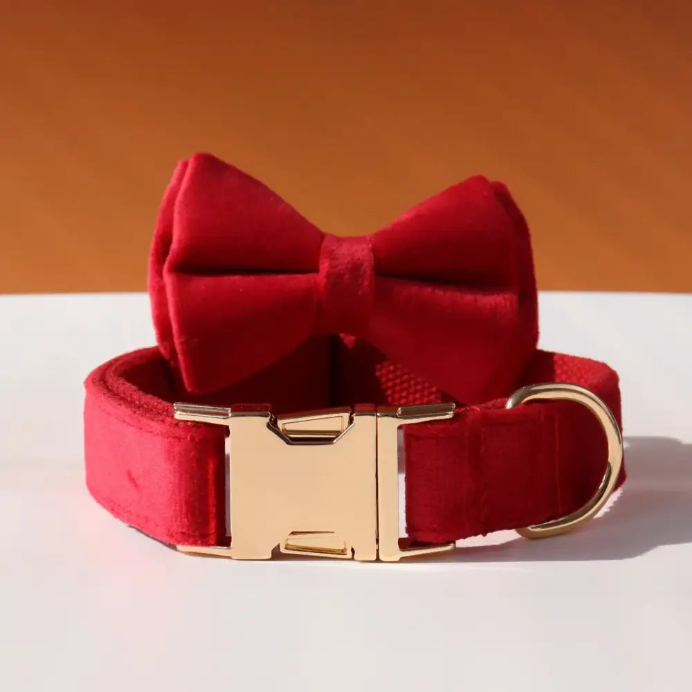 Red velvet dog collar with a matching bow tie attachment.