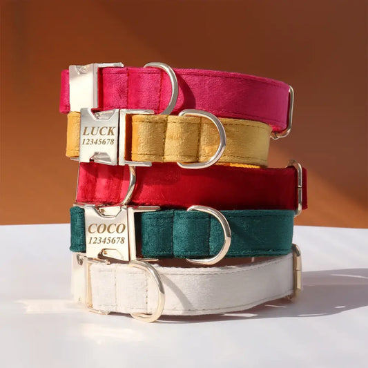 Stack of colorful dog collars with metal buckles and tags.