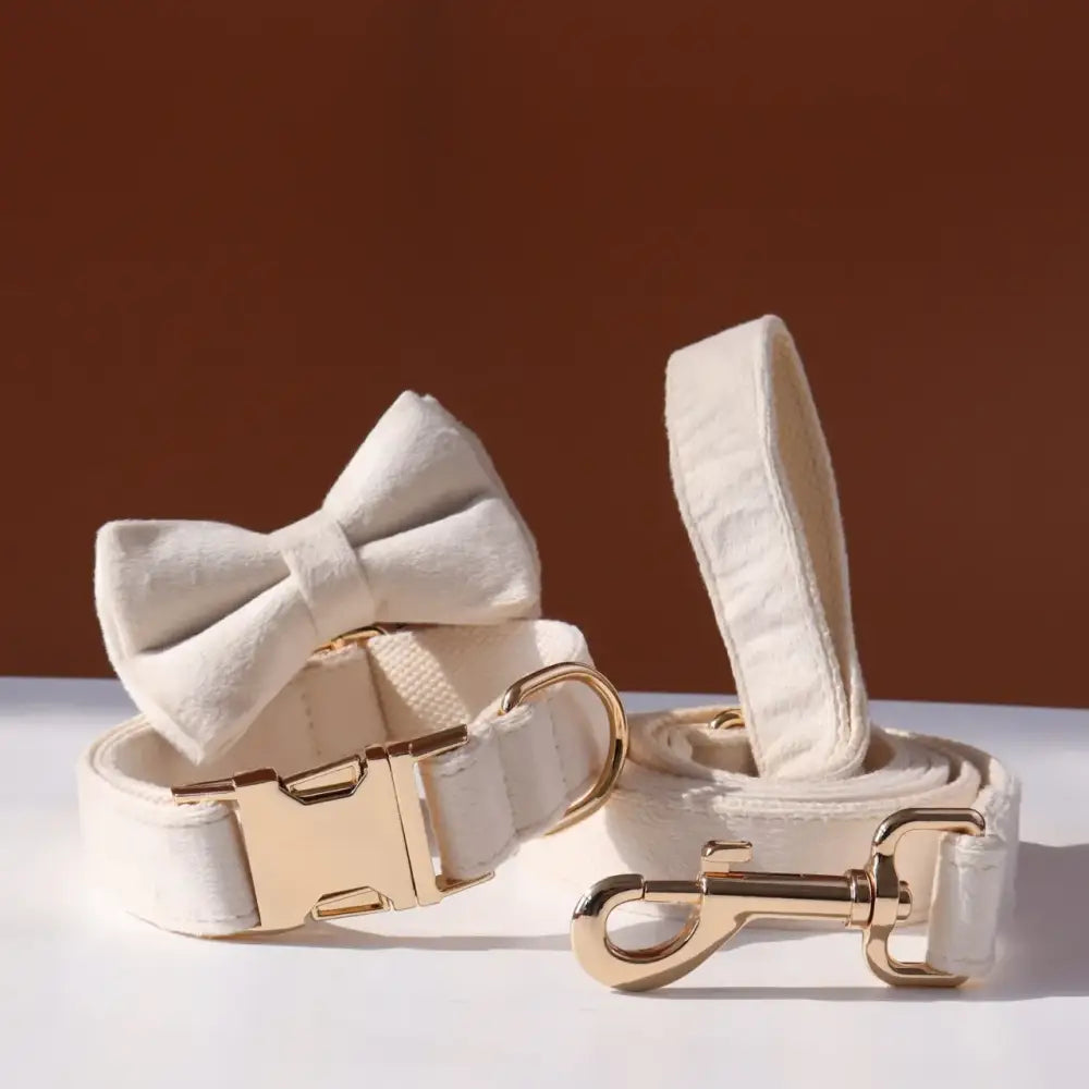 White dog collar with matching bow tie and leash, featuring gold-toned hardware.