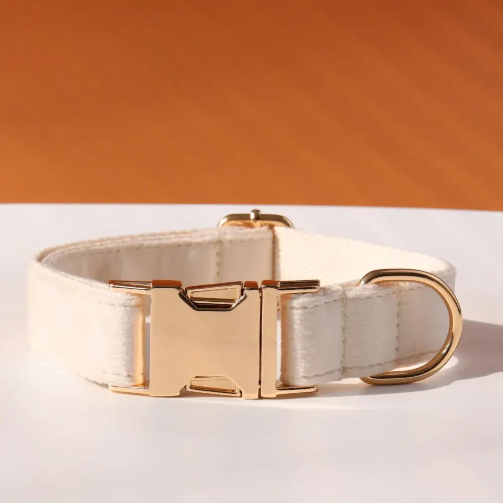 White fabric dog collar with a gold-toned metal buckle and D-ring.