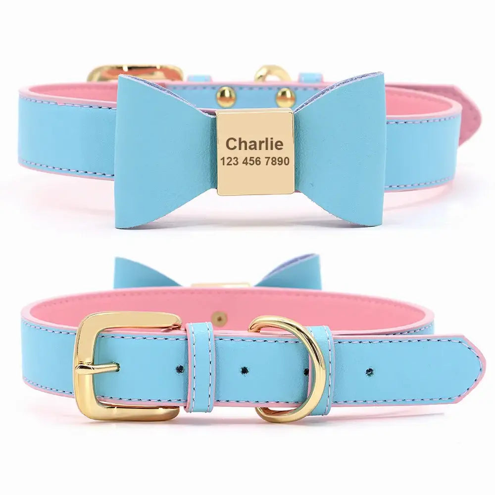 Pastel blue and pink dog collar with a bow and personalized name tag.