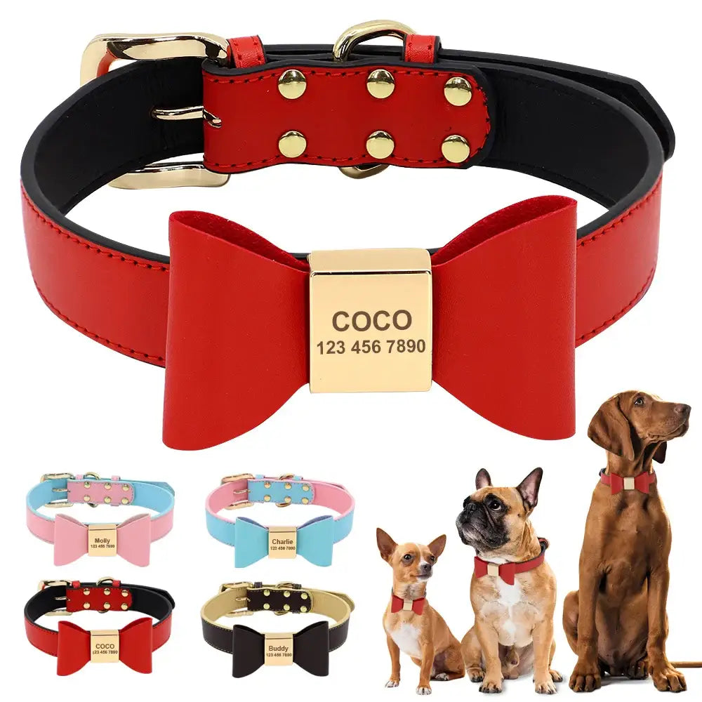 Red leather dog collar with a gold bow-shaped nameplate and studded details.