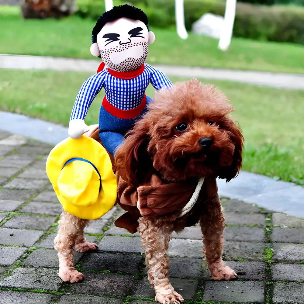 Brown poodle-type dog wearing a costume of a cartoon character riding on its back.