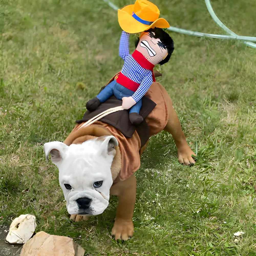 Bulldog puppy wearing a cowboy doll costume.