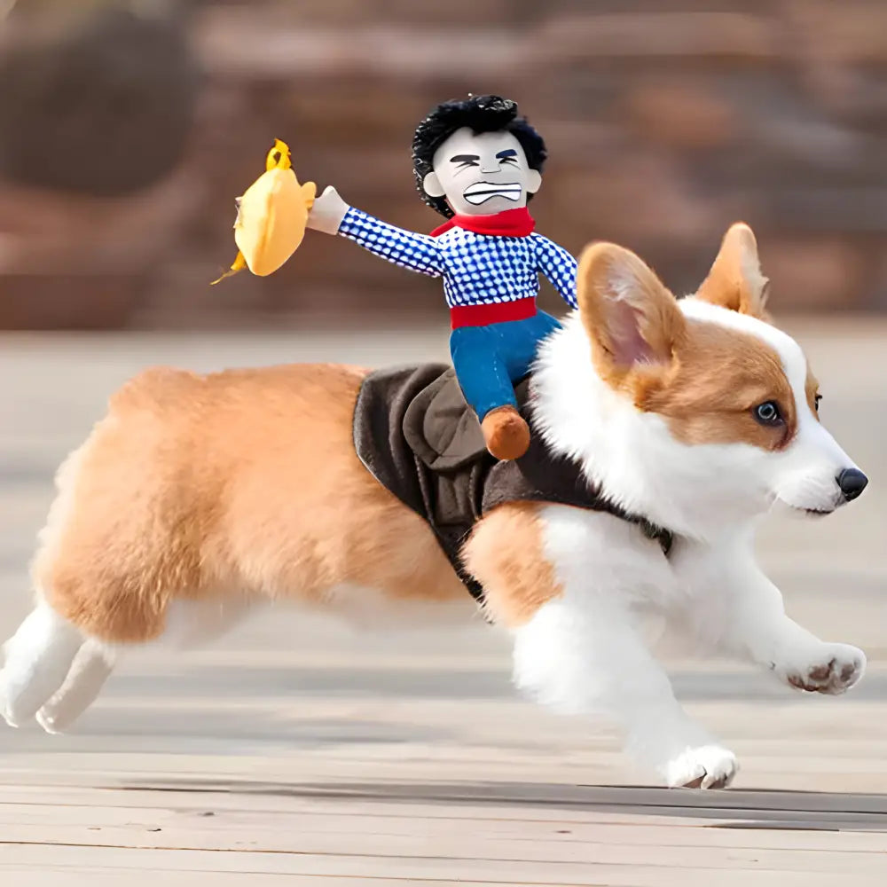 Corgi dog wearing a costume with a small doll rider.