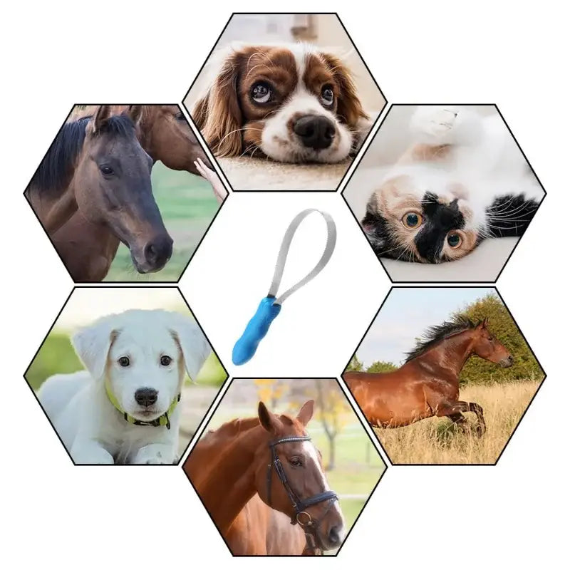 Hexagonal arrangement of animal portraits and a dog brush.