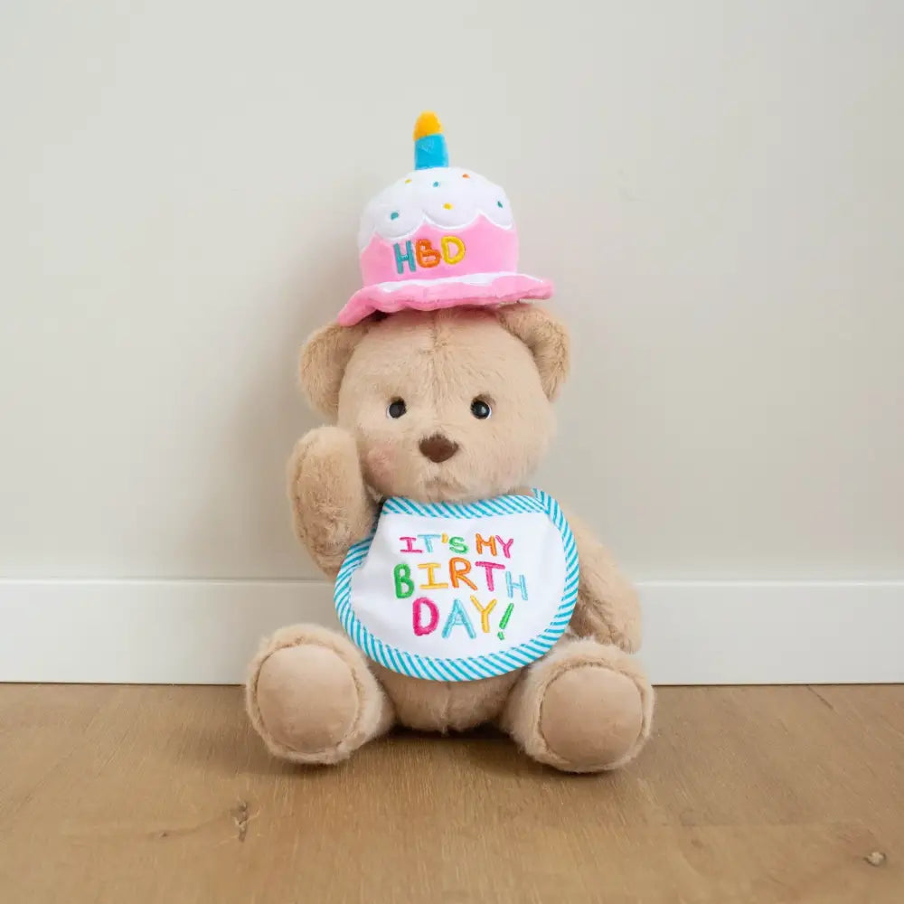 Stuffed teddy bear wearing a birthday hat and bib.