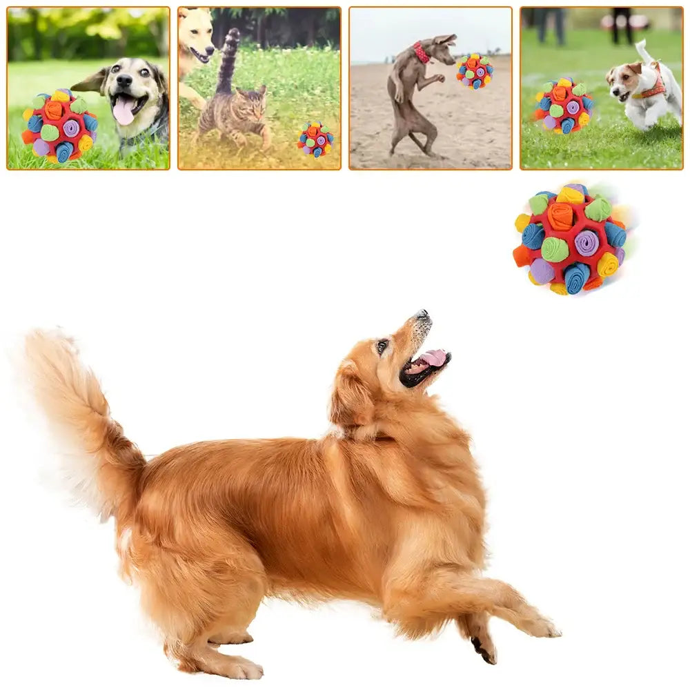 Golden Retriever dog in a playful stance.