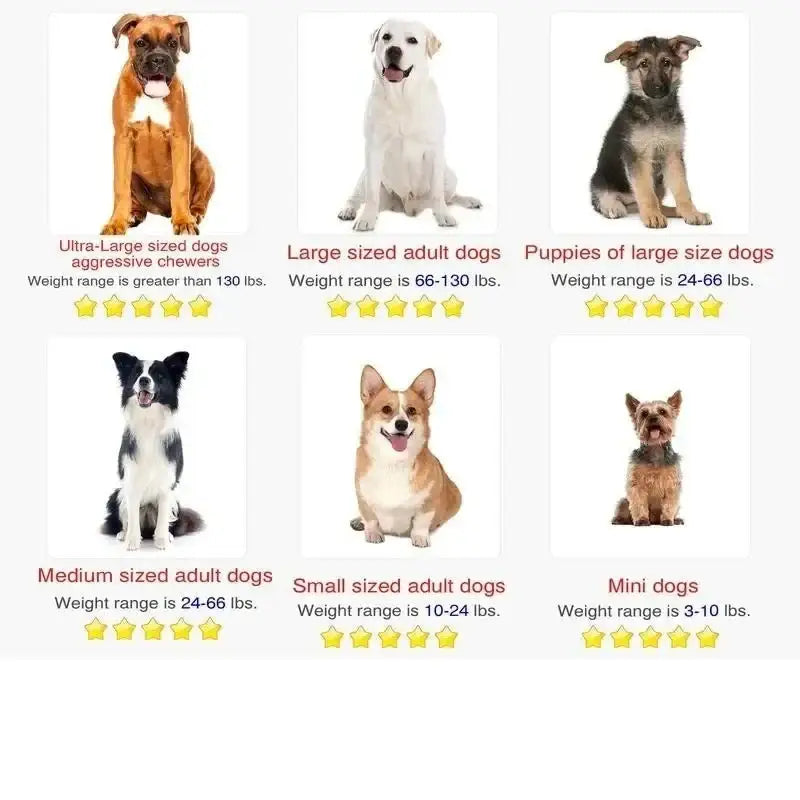 Chart showing different dog size categories with example breeds and weight ranges.