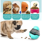 Dog Food Puzzle Toy - Vignette | DoggyElite