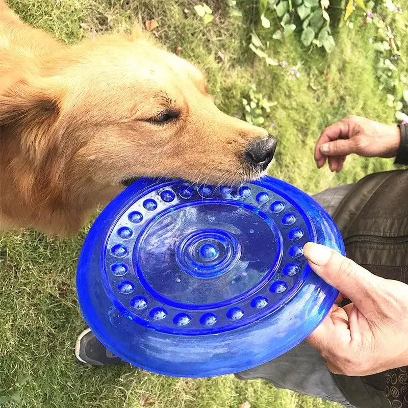 Blue plastic frisbee or flying disc toy.