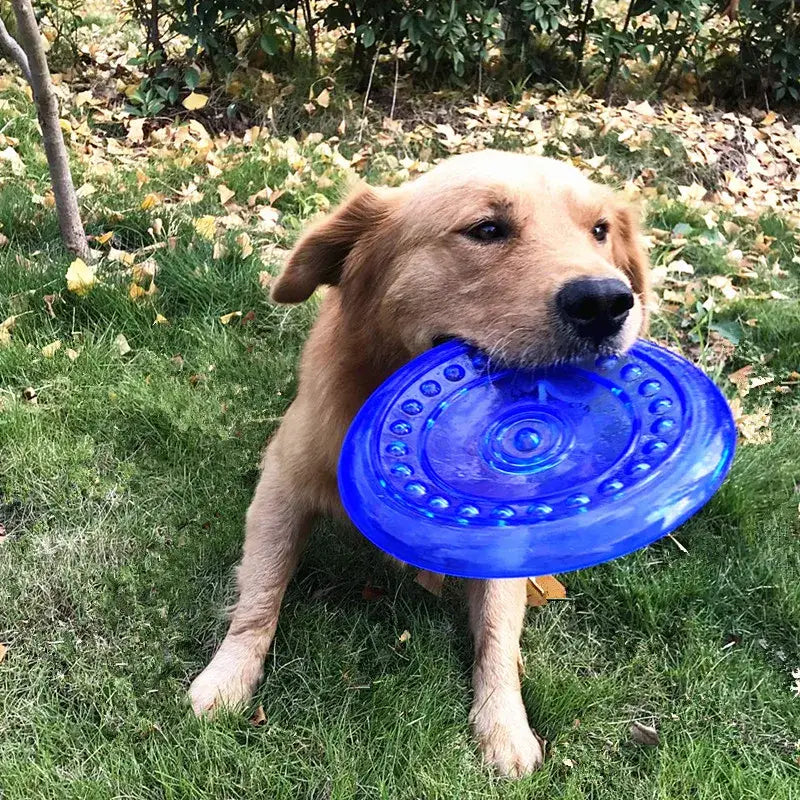 Golden retriever holding a blue frisbee in its mouth.