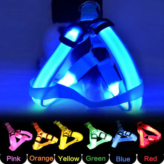 Glowing blue LED dog harness with multiple color options shown below.