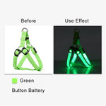 Dog Glow Harness - Vignette | DoggyElite