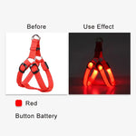 Dog Glow Harness - Vignette | DoggyElite