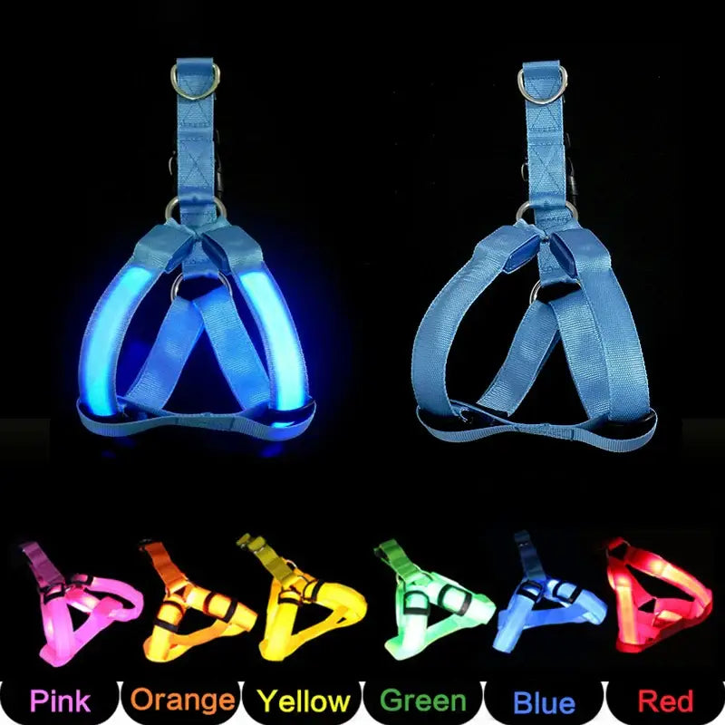 Illuminated dog harnesses in various colors.