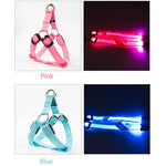 Dog Glow Harness - Vignette | DoggyElite