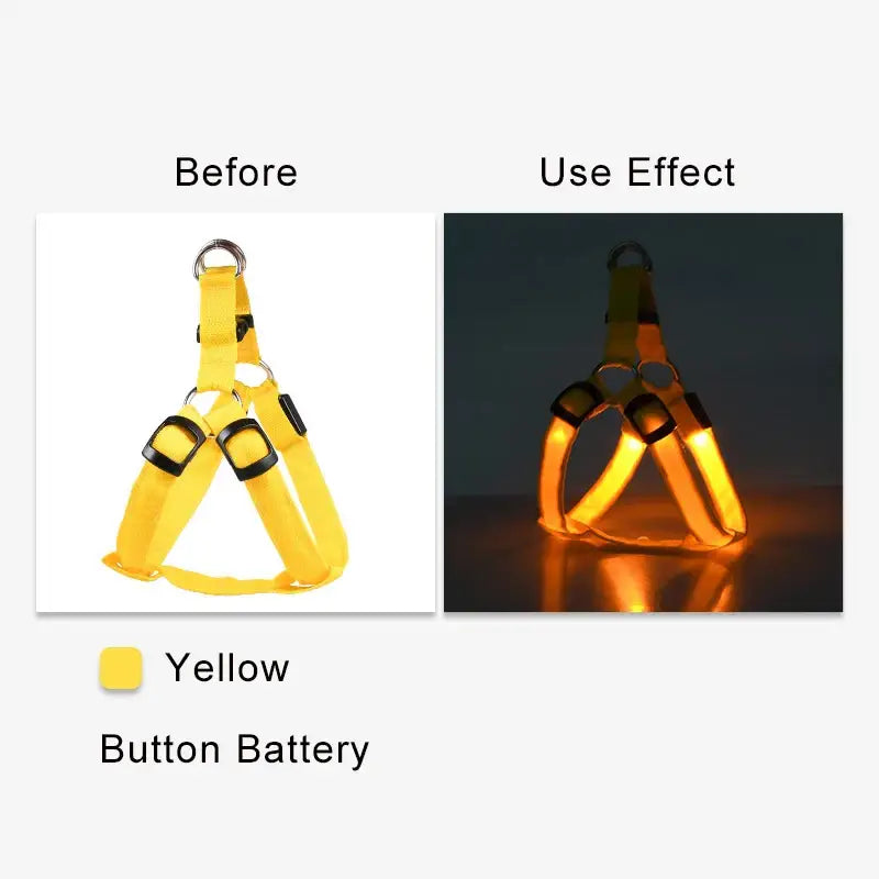 Yellow dog harness with glowing effect when activated.