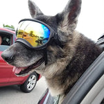 Dog Goggles For Car - Vignette | DoggyElite