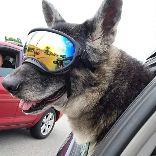 Dog wearing reflective ski goggles sticking its head out of a car window.