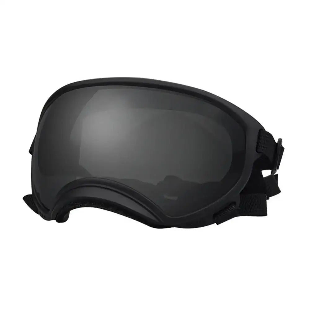 Ski or snowboard goggles with a dark tinted lens.