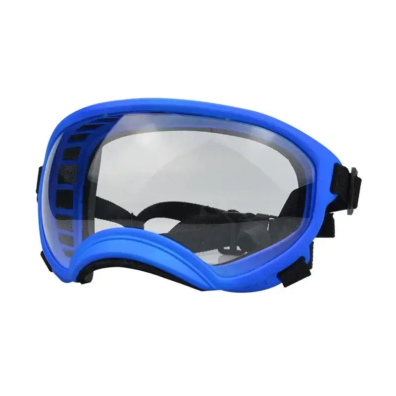 Blue-framed protective goggles with clear lenses.