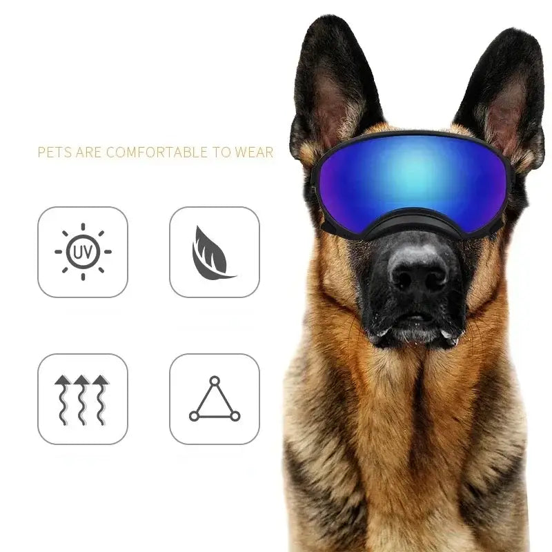 German Shepherd dog wearing blue mirrored ski goggles.