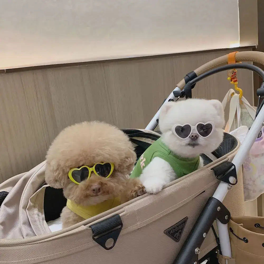 Stroller containing two small dogs wearing sunglasses.